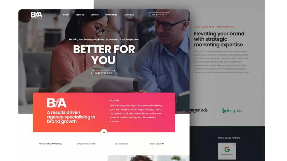 Website example